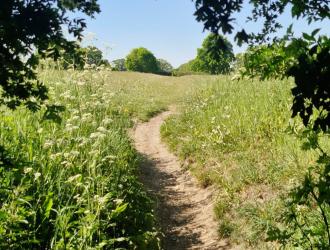 Archie Noble Set a Side