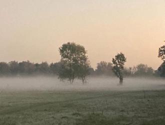 Nicky Cottington Set a Side