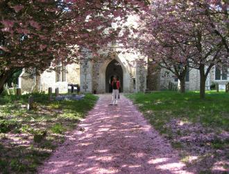 All Saints in the Spring