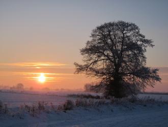 A wintry sunset in Thorndon
