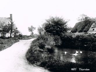 Hall Road ahead with Swan Cottage on the left and Princewood on the right